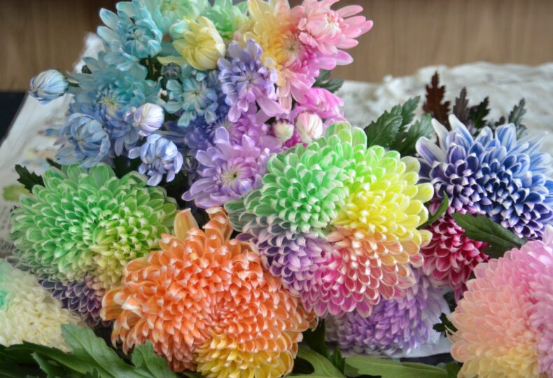 藤原織物】サーモンピンクに多彩な色彩の華文を織りだした豪華で華やか 